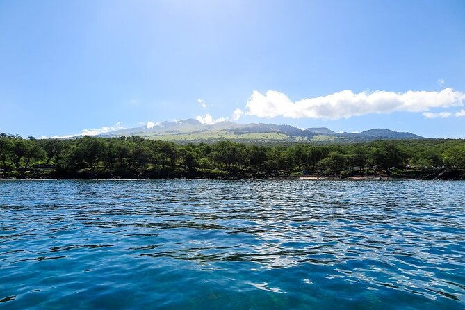 private-beginner-paddleboard-lesson-with-snorkel-in-turtle-town