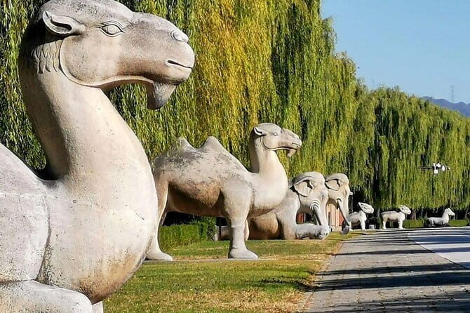 Private Beijing Night Tour - FAQ