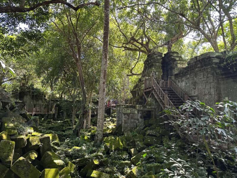 Private Beng Mealea Tour  The Lost Jungle Temple Experience - Final Thoughts
