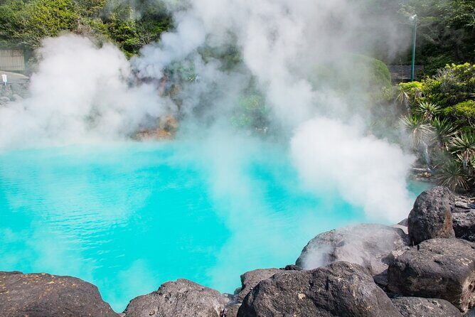 Private Beppu Hell Sightseeing Tour by Car - What Reviewers Have Said