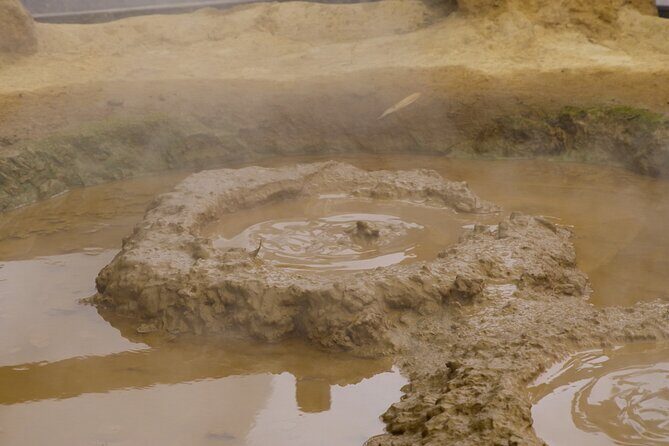 Private Beppu Hell Sightseeing Tour by Car - Who Will Enjoy This Tour?