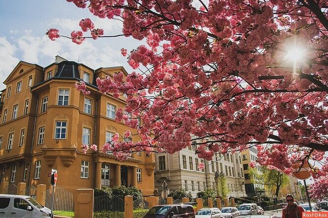 private-berlin-coffee-tour-with-friendly-local-guide