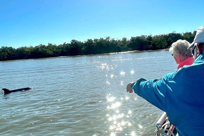 private-best-of-marco-island-dolphin-tour