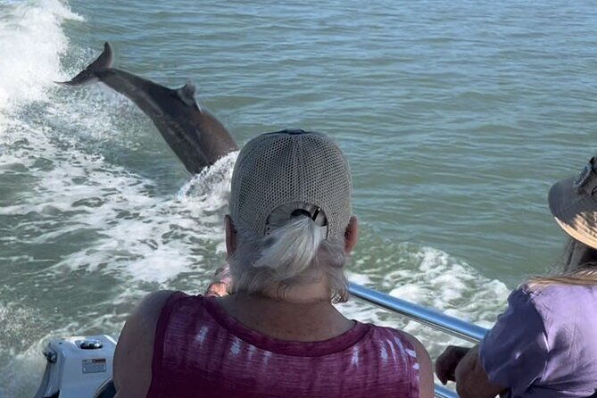 private-best-of-marco-island-dolphin-tour