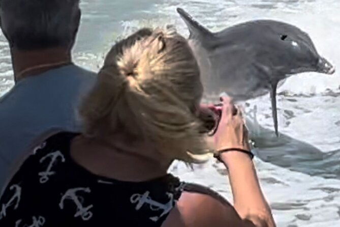 private-best-of-marco-island-dolphin-tour