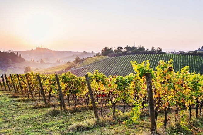 Private Best of Tuscany Hill Towns Tour with lunch from Florence - What Makes This Tour Special