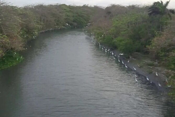 private-bike-tour-of-barranquilla