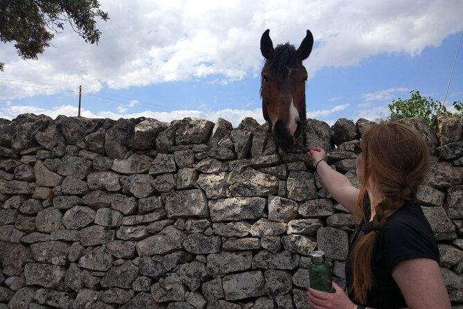 private-bike-tour-with-olive-oil-tasting