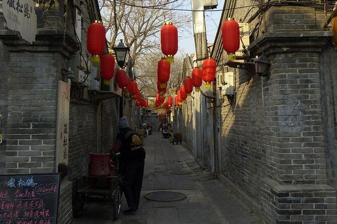 Private biking tour in Beijing Hutong handmade dumpling lunch and Forbidden city - Who Should Book This Tour?
