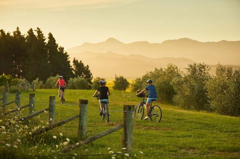 Private Biking Wine Tour (Full Day) Marlborough Region - Key Points