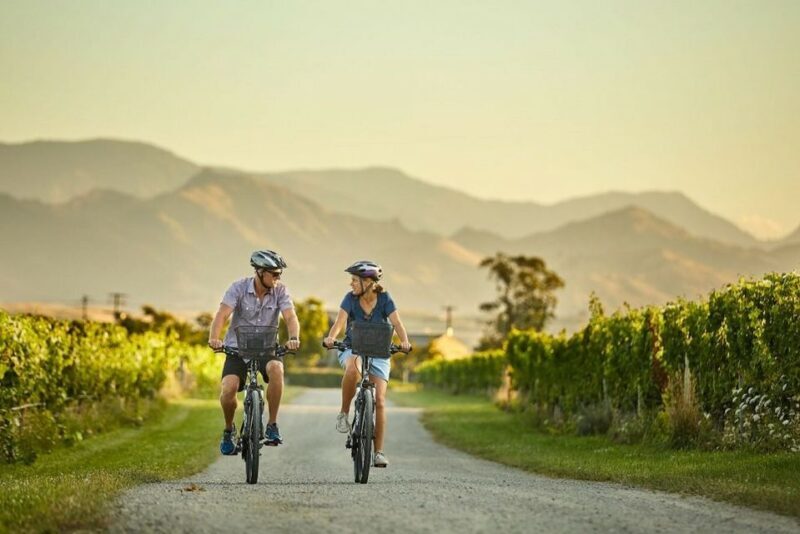 Private Biking Wine Tour (Full Day) Marlborough Region - Practical Details and Tips