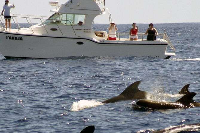 private-biologist-led-seafari-up-to-10-passengers