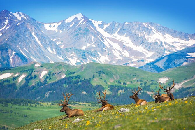 private-birding-hike-in-rocky-mountain-national-park