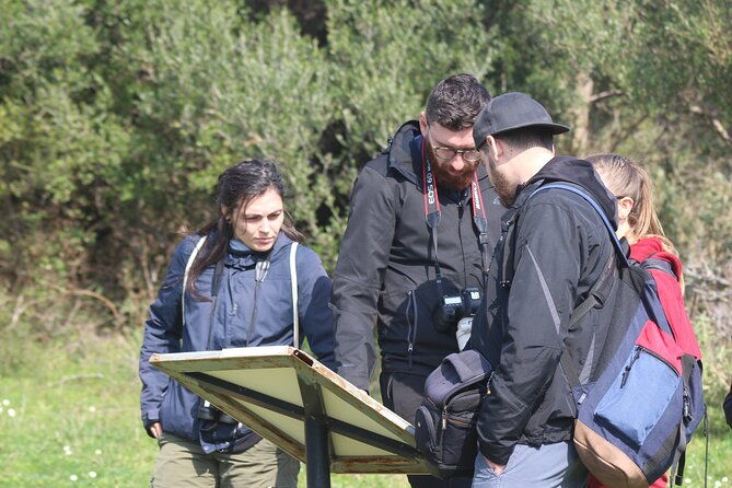 private-birding-tour-in-albania