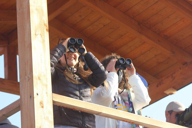 private-birding-tour-in-albania