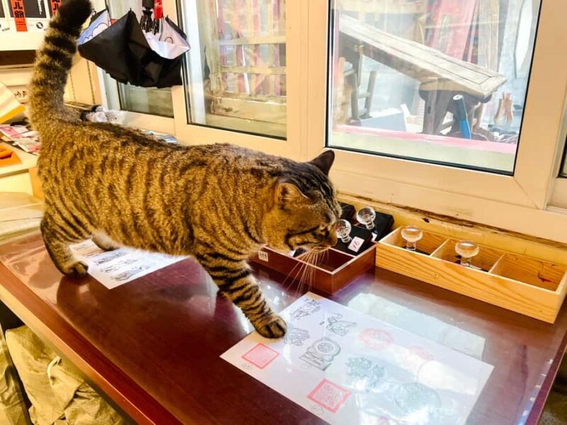 Private: Bite and Stroll: Brunch Tour in Old Town Beijing! - Final Thoughts