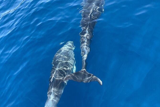 private-blue-cave-tour-half-day-with-a-speedboat