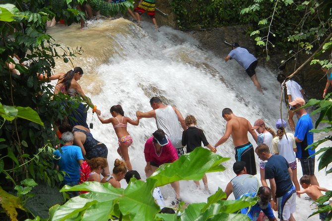 private-blue-hole-and-dunns-river-falls-tour-from-montego-bay