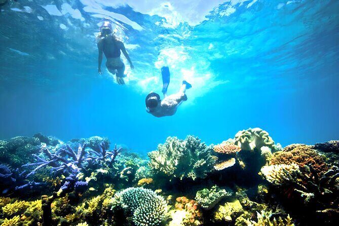 Private Blue Lagoon Snorkeling Lunch All Inclusive - Who This Tour Is Best For