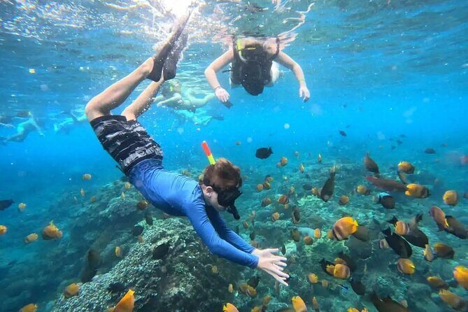 Private Blue Lagoon Snorkeling Lunch All Inclusive - FAQ