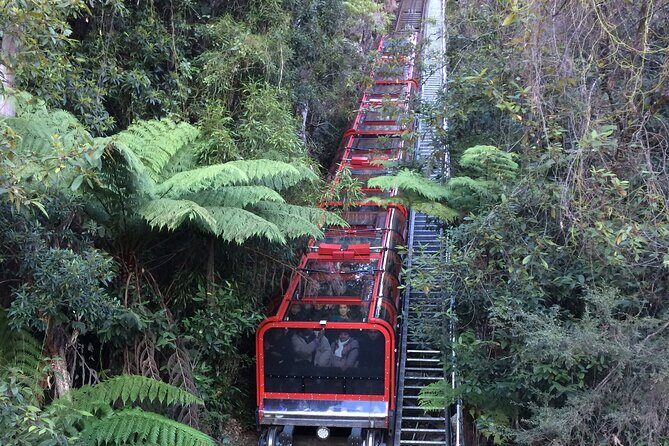 PRIVATE Blue Mountains Day Tour from Sydney with Wildlife Park and River Cruise - The Experience: Pros and Cons
