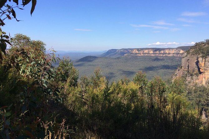 PRIVATE Blue Mountains Day Tour from Sydney with Wildlife Park and River Cruise - FAQs
