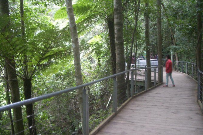 PRIVATE Blue Mountains day tour with local guide. - An In-Depth Look at What This Tour Offers