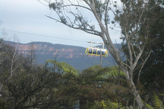 PRIVATE Blue Mountains day tour with local guide. - Practical Details & Tips