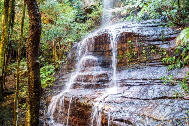 Private Blue Mountains Escape The Crowds Tour - The Experience of the Guide and Personalization