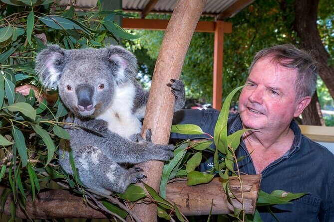 PRIVATE Blue Mountains Wilderness & Wildlife Late Start Tour - An In-Depth Look at the Tour