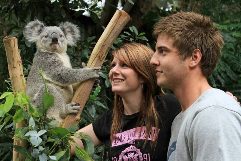 Private BlueMountains, ScenicWorld & AustralianWildlife Tour - A Deep Dive into the Experience