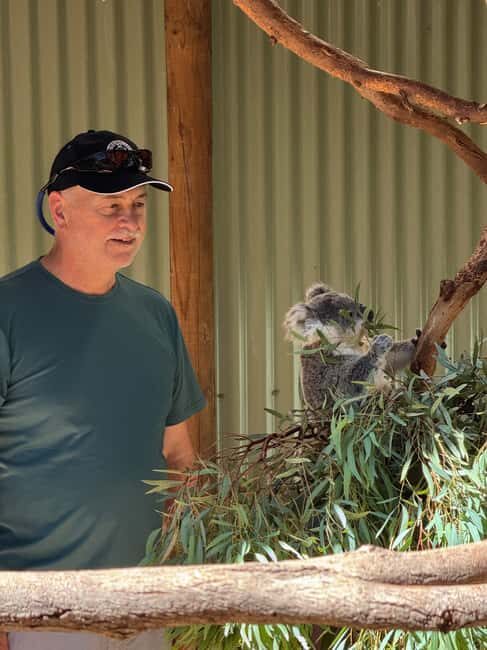 Private BlueMountains, ScenicWorld & AustralianWildlife Tour - Final Thoughts