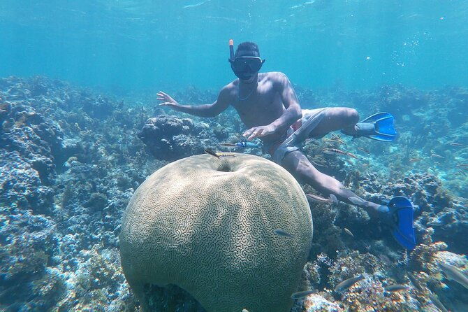 private-boat-and-wonderful-snorqueling-in-punta-cana