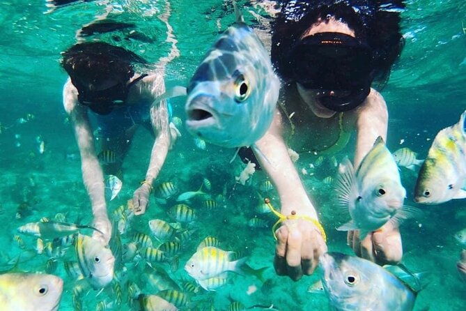 private-boat-and-wonderful-snorqueling-in-punta-cana