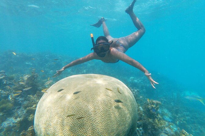 private-boat-and-wonderful-snorqueling-in-punta-cana