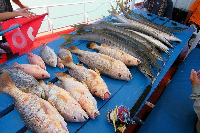 Private Boat Big Game Fishing Day Trip From Koh Samui - The Sum Up