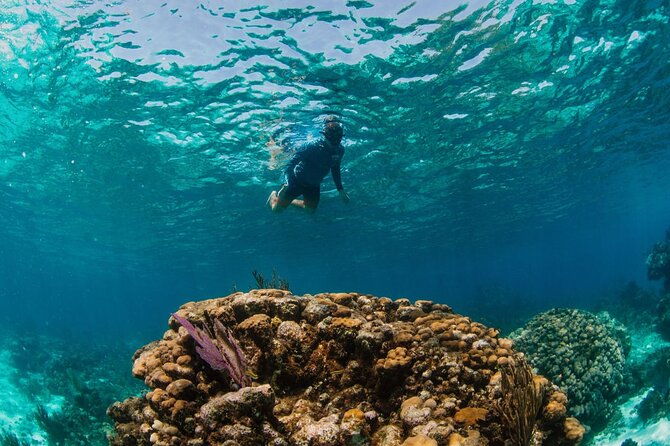 private-boat-charter-snorkeling-stingray-city-or-bio-bay