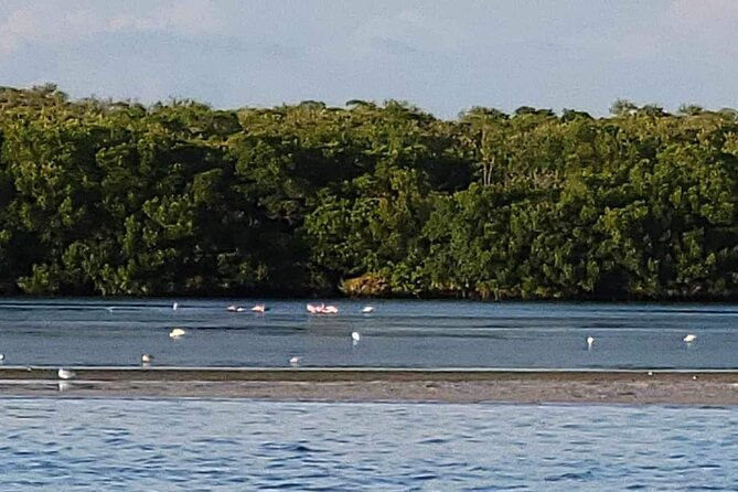 private-boat-charter-to-johns-pass-shell-key-and-egmont-key