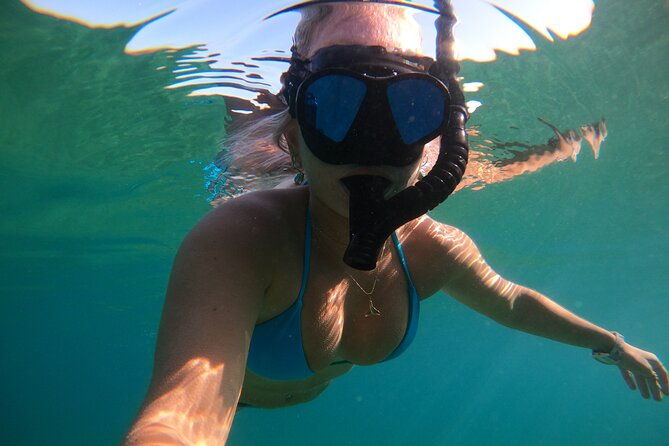 private-boat-cruise-of-waikiki-snorkel-sightseeing-sea-life