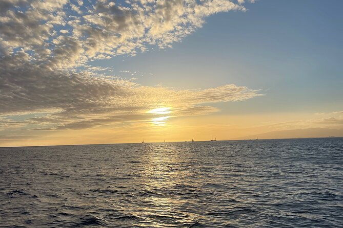 private-boat-cruise-of-waikiki-snorkel-sightseeing-sea-life