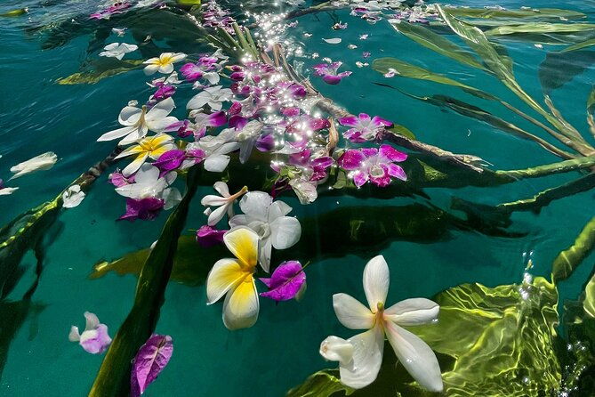 private-boat-cruise-of-waikiki-snorkel-sightseeing-sea-life