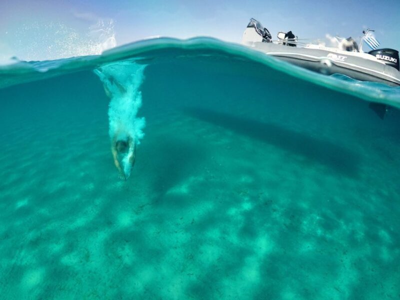 Private boat cruise to South coastline of Mykonos - Practical Details: Pricing, Duration, and Logistics