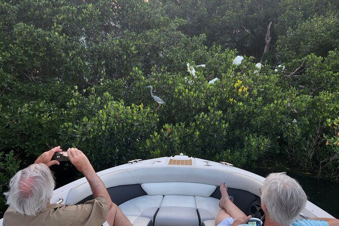 private-boat-island-cruise-and-dolphins