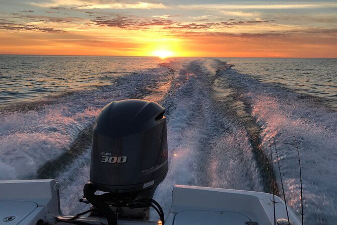 private-boat-offering-dolphin-watching-island-excursions-and-nature-tours