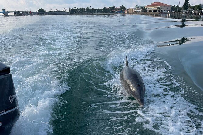private-boat-offering-dolphin-watching-island-excursions-and-nature-tours