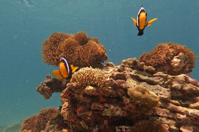 Private Boat Route B by Long Tail Boat - A Closer Look at the Tour Experience