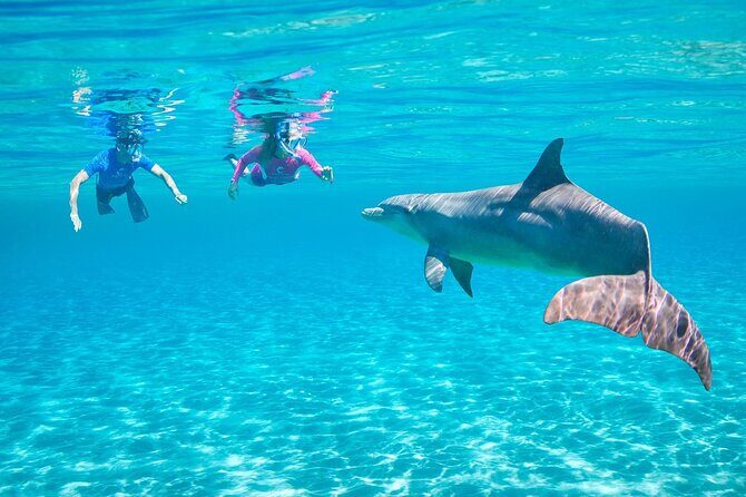 Private Boat to Dolphin House Full day Snorkeling Sea Trip Max 10 Pax - Hurghada - Final Thoughts