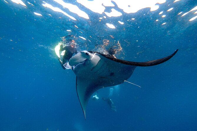 Private Boat to Nusa Penida with Snorkeling and Land Tour - Final Thoughts