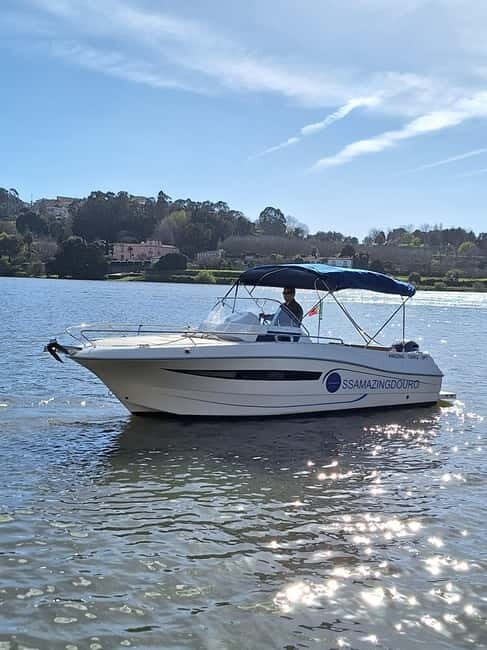 Private Boat Tour in Porto with Portuguese Tapas Option - Key Points