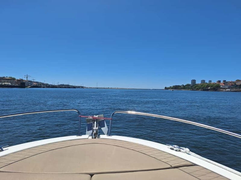 Private Boat Tour in Porto with Portuguese Tapas Option - Who Will Love This Tour?